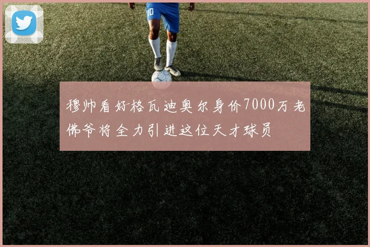穆帅看好格瓦迪奥尔身价7000万老佛爷将全力引进这位天才球员